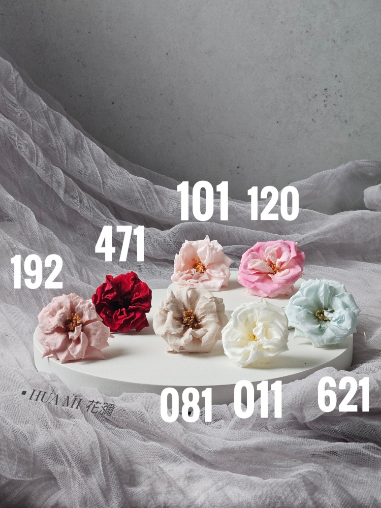 大地- 薔薇花