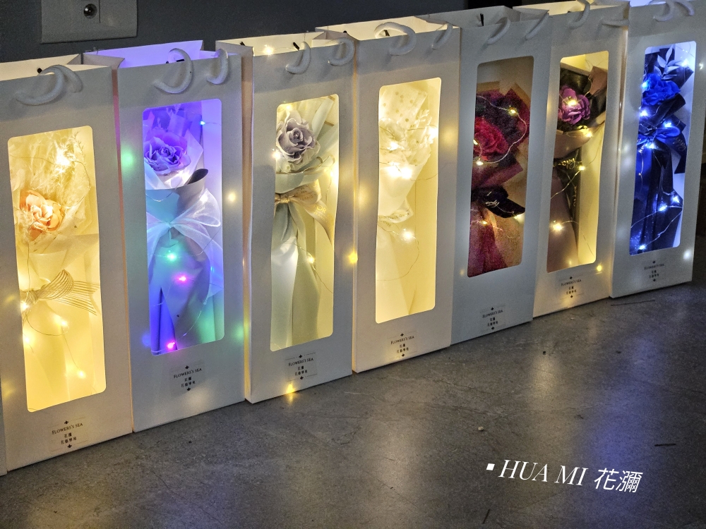 LED燈串 - 禮品