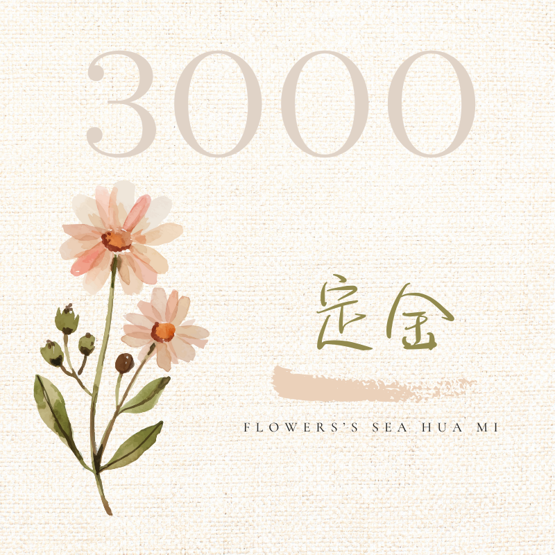 {定金} 3000