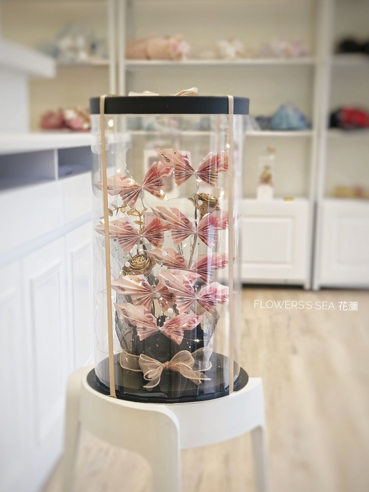 【 鈔票蝴蝶 】金木
