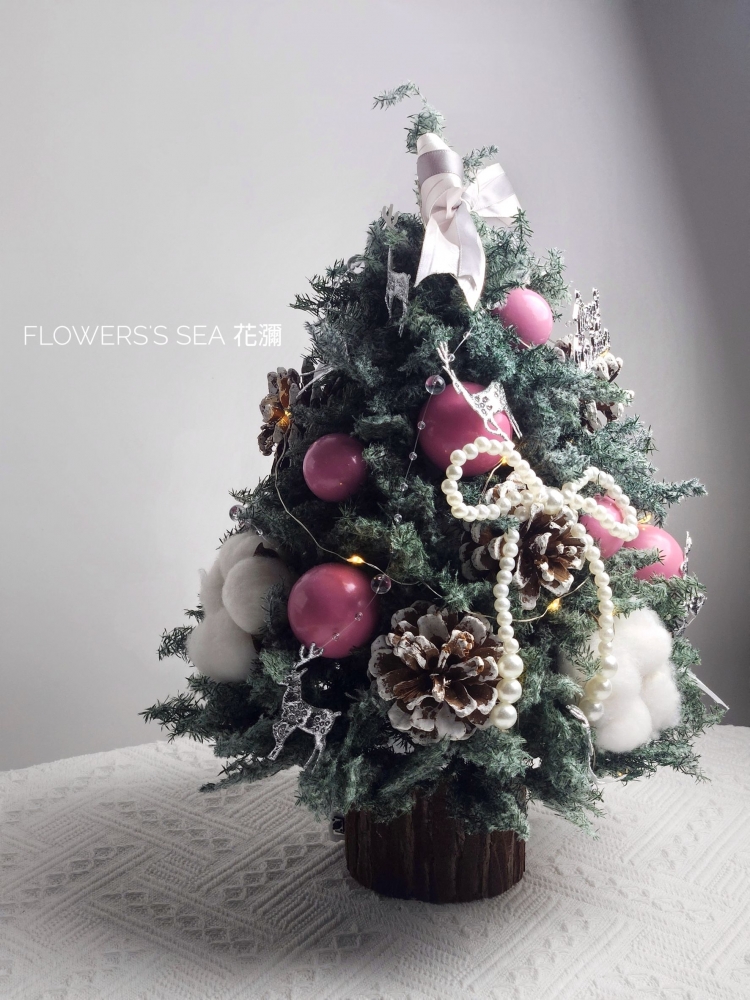 【 聖誕樹 】不凋雪松 - 原木樹樁