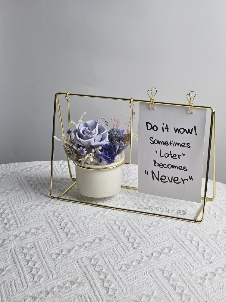 【 鞦韆花盆 】多色