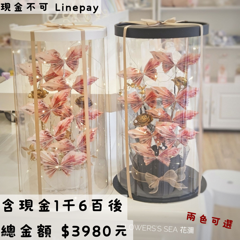 【 蝴蝶 】金木玫瑰