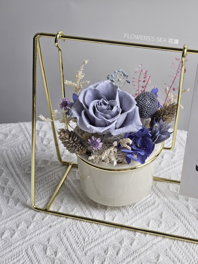 【 鞦韆花盆 】多色