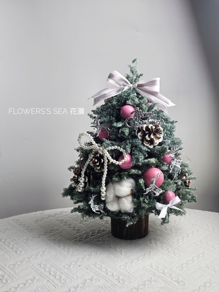 【 聖誕樹 】不凋雪松 - 原木樹樁