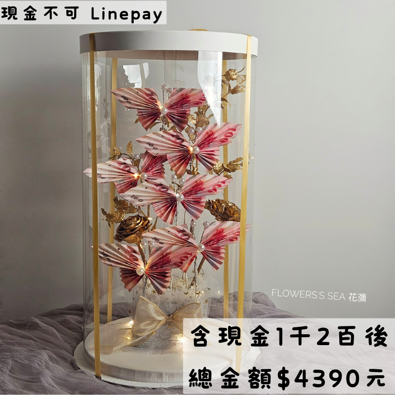 【 蝴蝶禮盒 】6隻